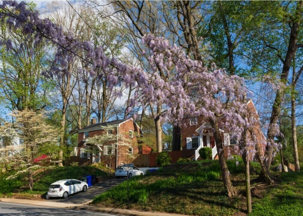 #48. Arlington, Virginia